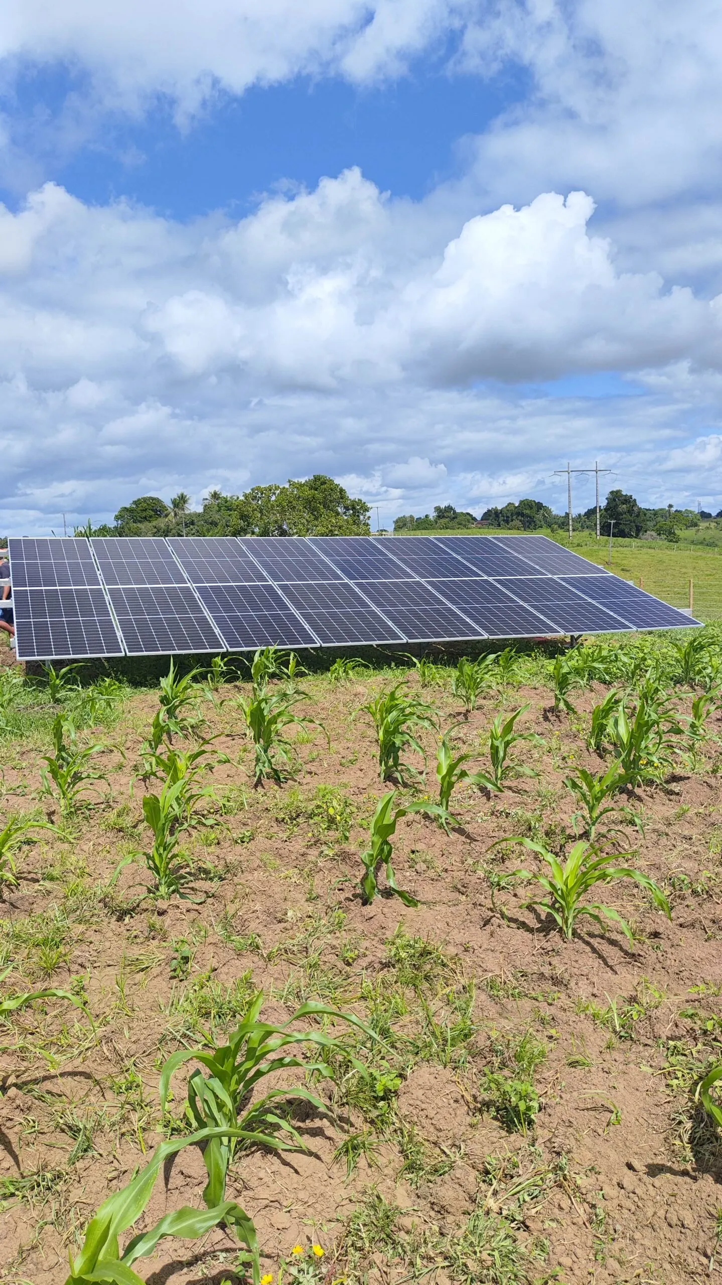 Sistema solar rural realizado pela VLR Solar em Santo Antônio de Jesus